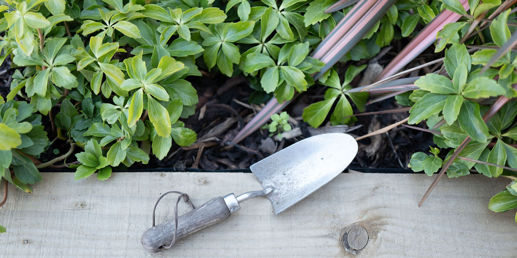 gardening trowel on the side of a wooden raised bed