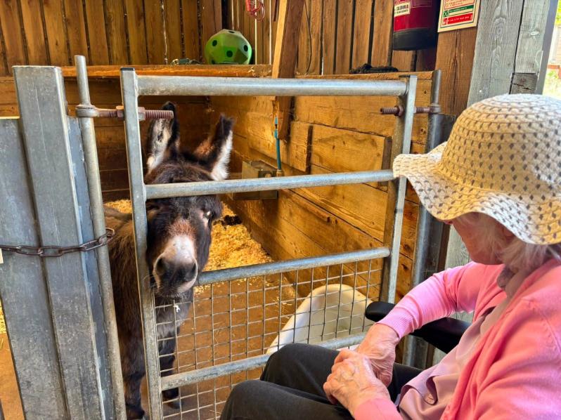 resident at mill farm with a donkey